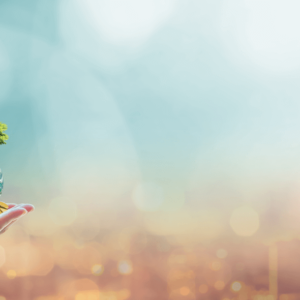 Corporate Sustainability Certification
