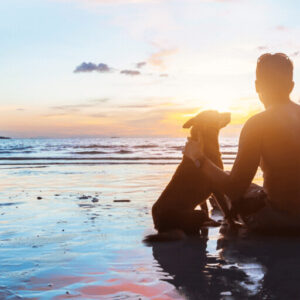Learn to Communicate with Animals and Nature Certificate