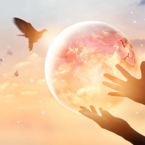 Spirituality Coach Certificate