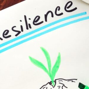 How to Build Resilience Certification