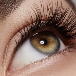 Eyelash Lift and Tint Certificate